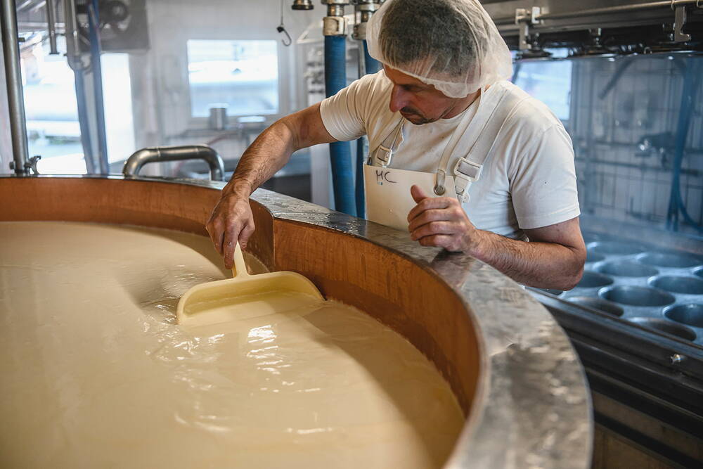 kaeseherstellung2-1000-1000.jpg